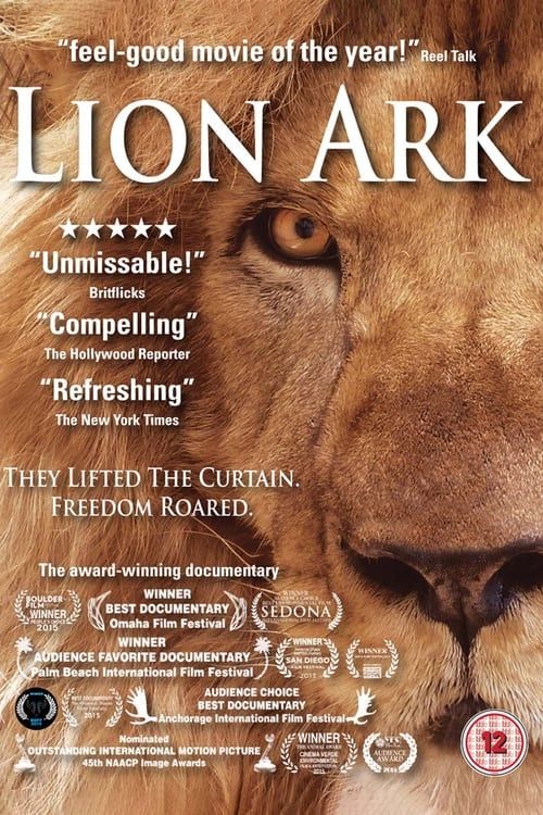 Key visual of Lion Ark