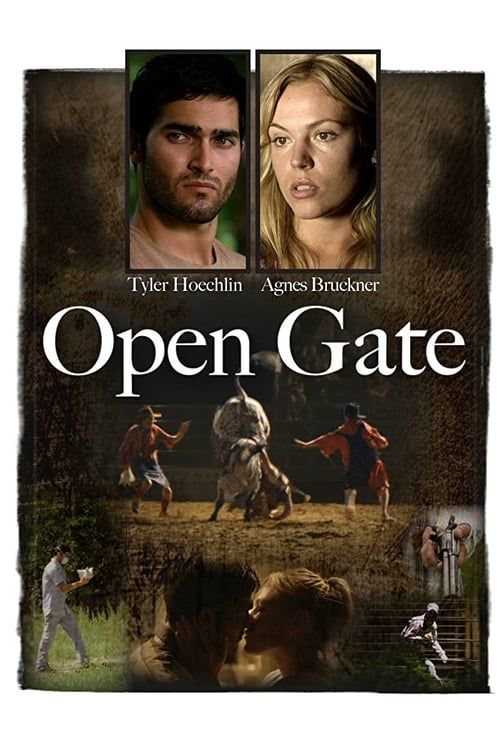 Key visual of Open Gate