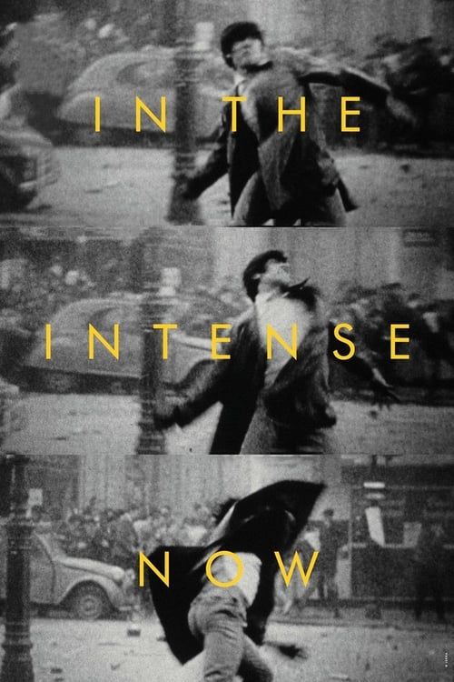 Key visual of In the Intense Now