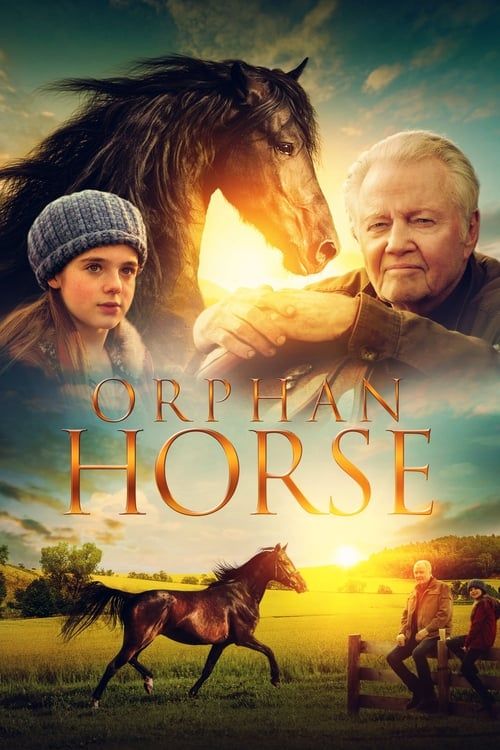 Key visual of Orphan Horse