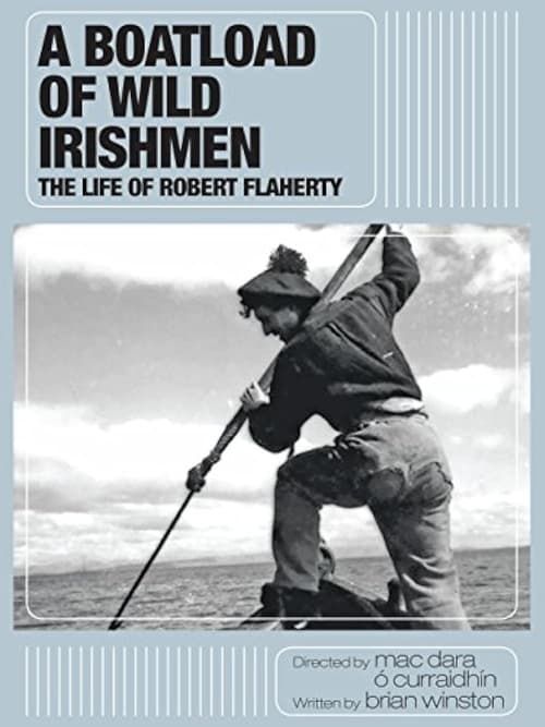 Key visual of A Boatload of Wild Irishmen