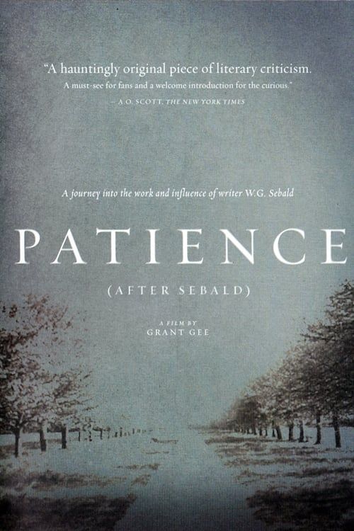 Key visual of Patience (After Sebald)