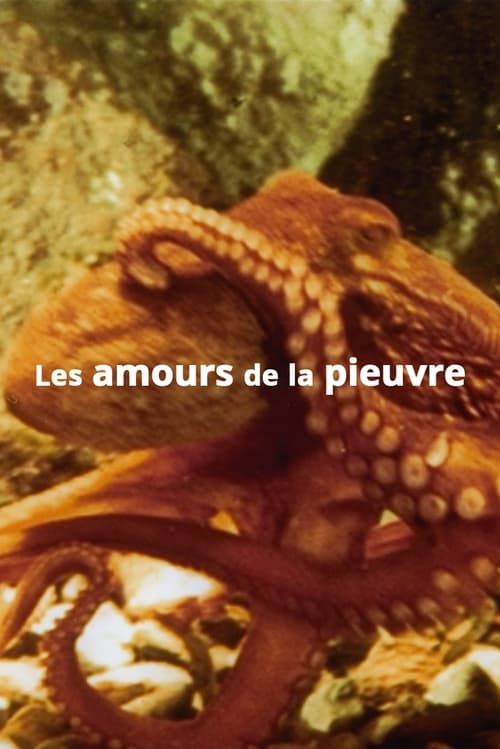 Key visual of The Love Life of an Octopus