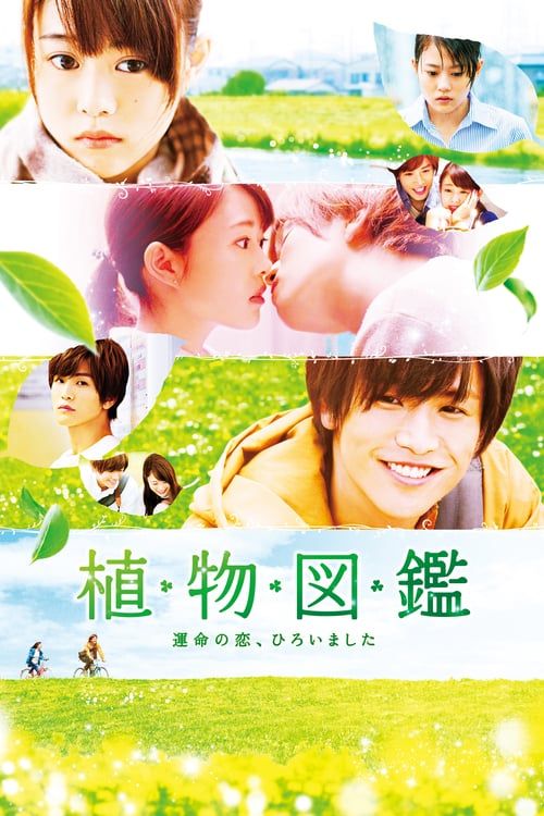 Key visual of Evergreen Love