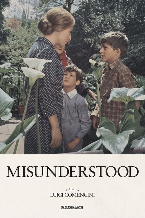 Key visual of Misunderstood