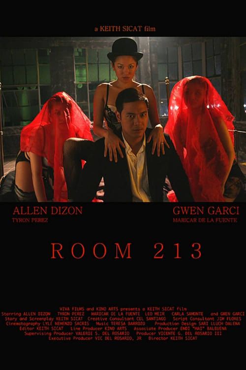 Key visual of Room 213