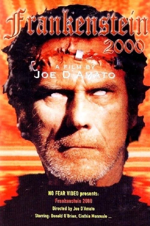 Key visual of Return from Death: Frankenstein 2000