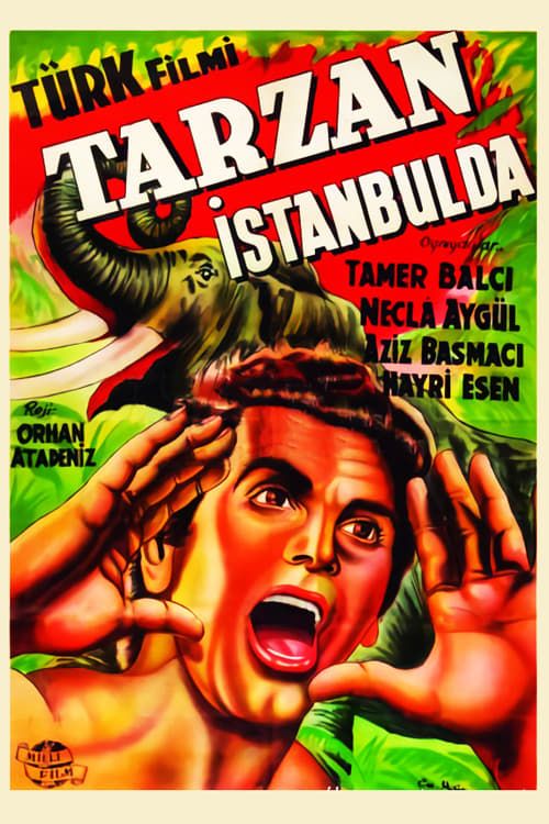 Key visual of Tarzan in Istanbul