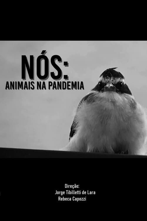 Key visual of NÓS: ANIMAIS NA PANDEMIA