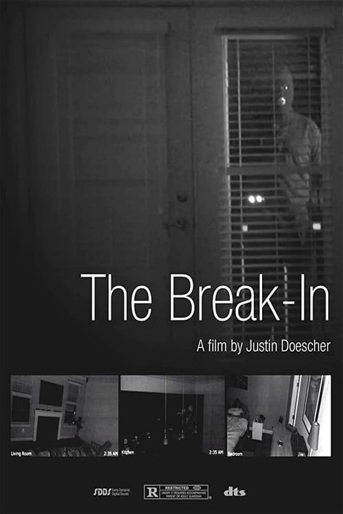 Key visual of The Break-In