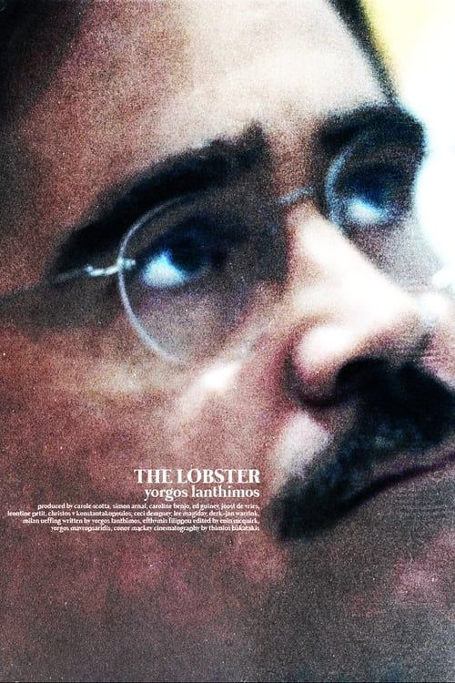 Key visual of The Lobster