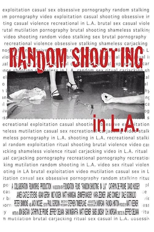 Key visual of Random Shooting in LA