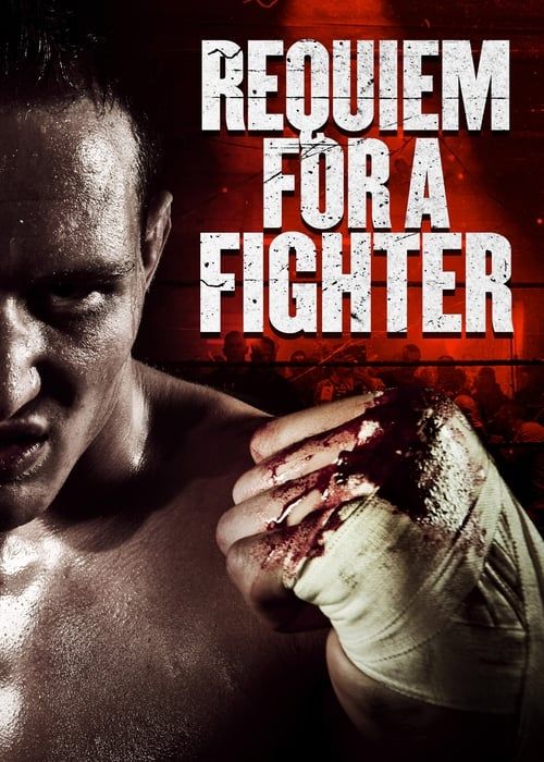 Key visual of Requiem for a Fighter