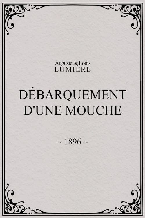 Key visual of Lyon: Débarquement d'une mouche