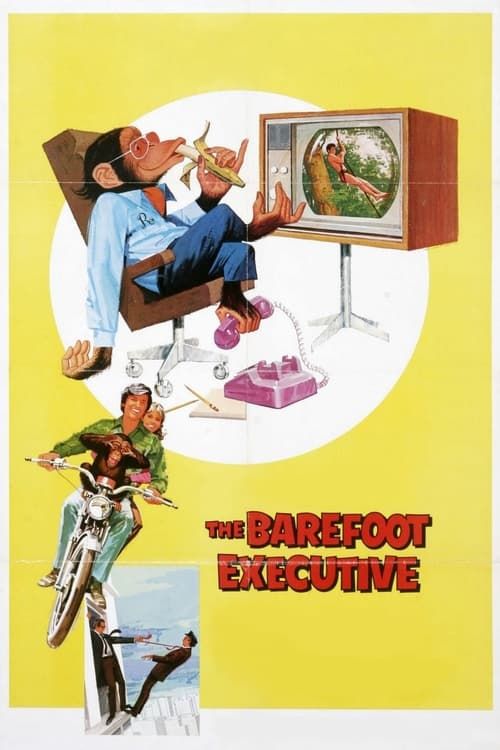 Key visual of The Barefoot Executive