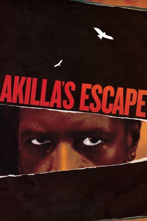 Key visual of Akilla's Escape