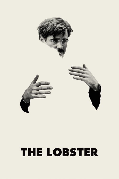 Key visual of The Lobster