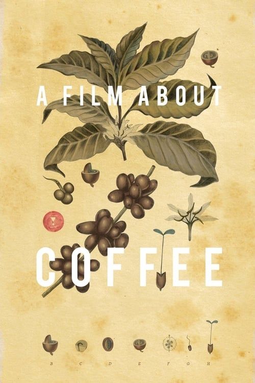 Key visual of A Film About Coffee