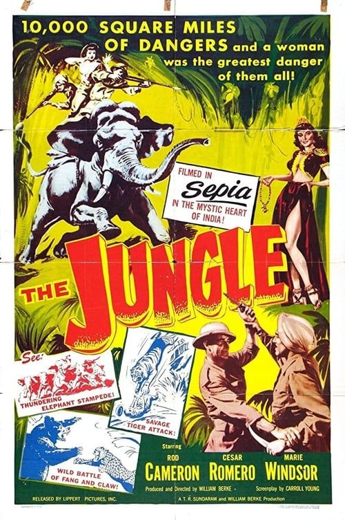 Key visual of The Jungle