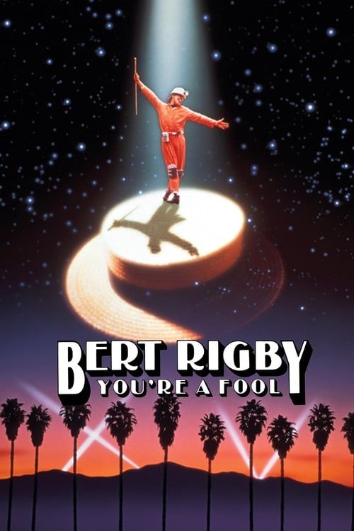 Key visual of Bert Rigby, You're a Fool