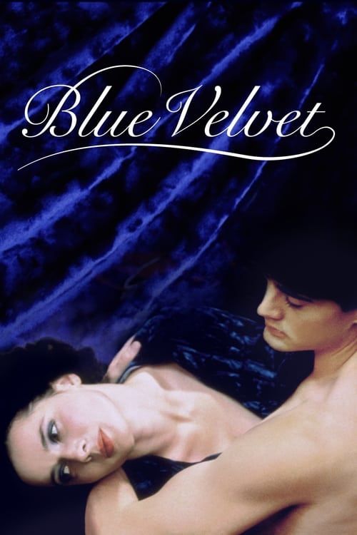 Key visual of Blue Velvet