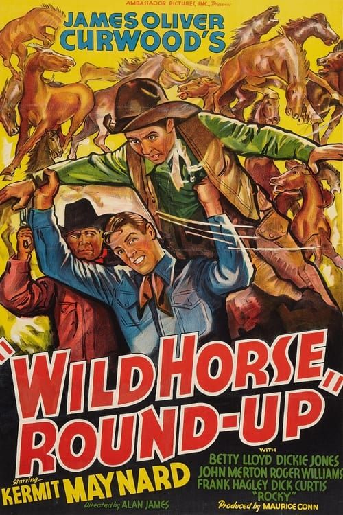 Key visual of Wild Horse Round-Up