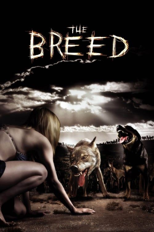 Key visual of The Breed