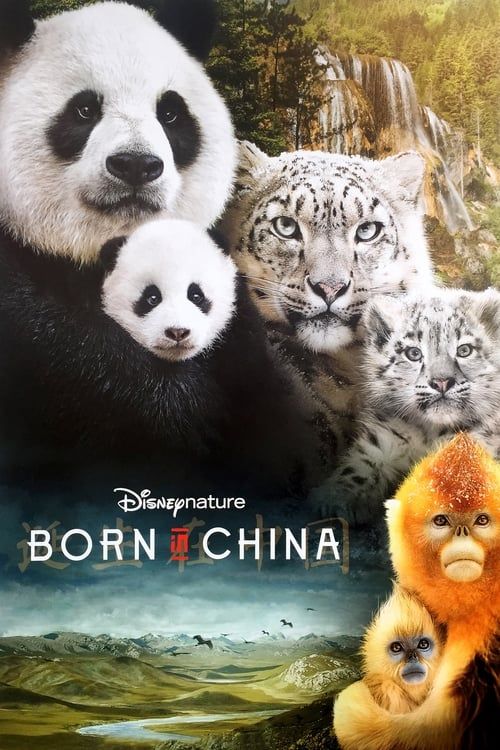 Key visual of Born in China