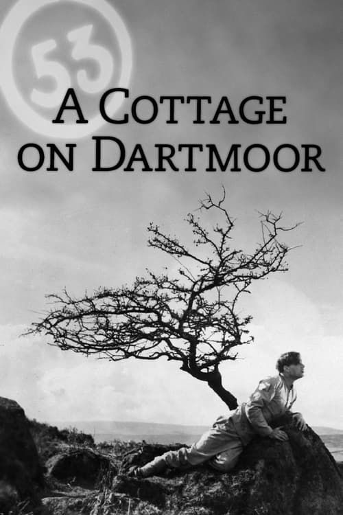 Key visual of A Cottage on Dartmoor