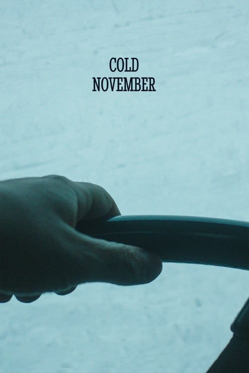 Key visual of Cold November