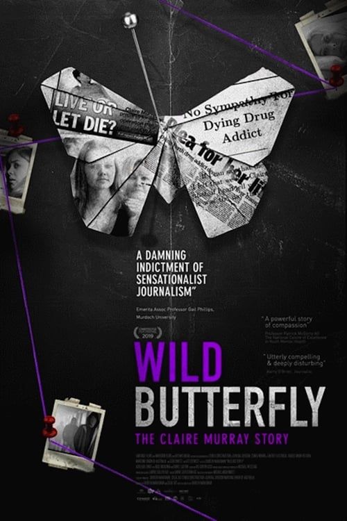 Key visual of Wild Butterfly