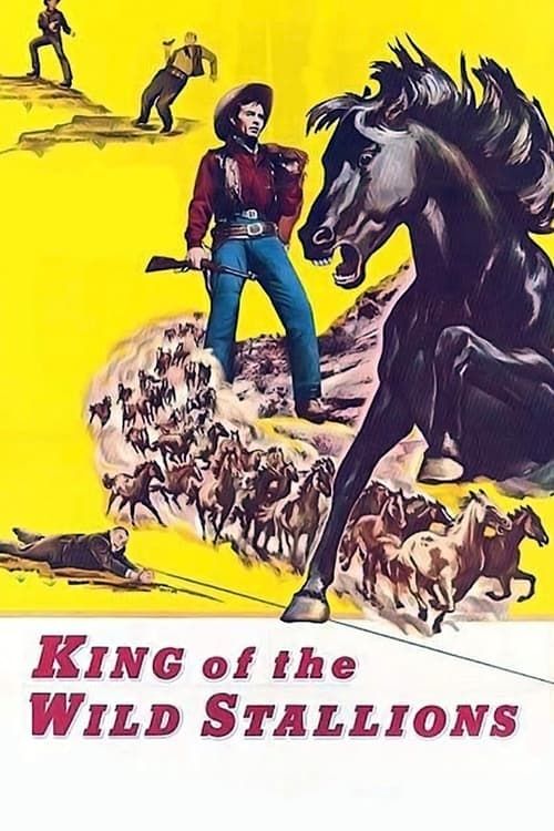 Key visual of King of the Wild Stallions