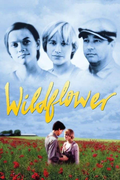 Key visual of Wildflower