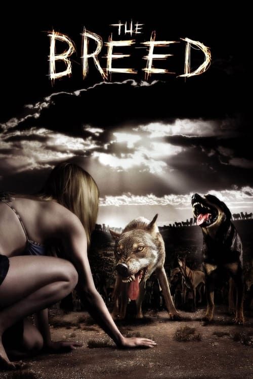 Key visual of The Breed