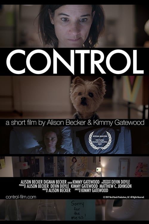 Key visual of Control