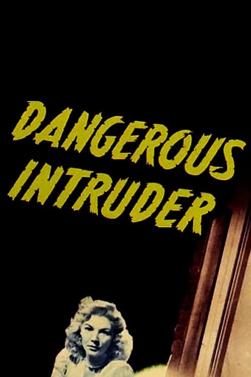 Key visual of Dangerous Intruder