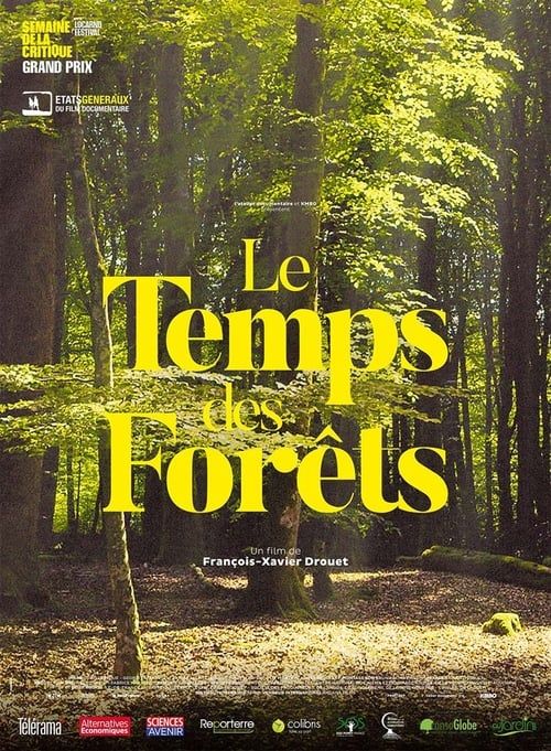 Key visual of The Time of Forests