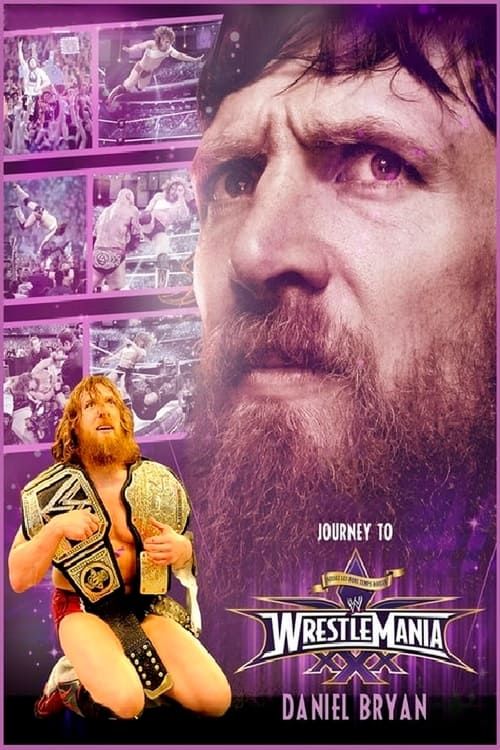 Key visual of Daniel Bryan: Journey to WrestleMania 30