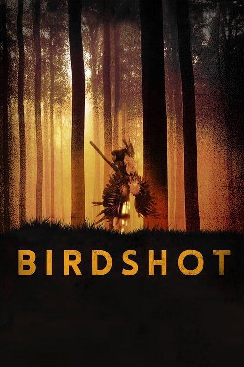 Key visual of Birdshot
