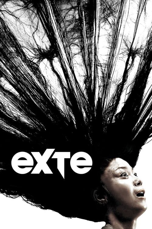 Key visual of Exte: Hair Extensions