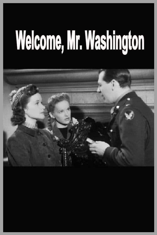 Key visual of Welcome, Mr Washington
