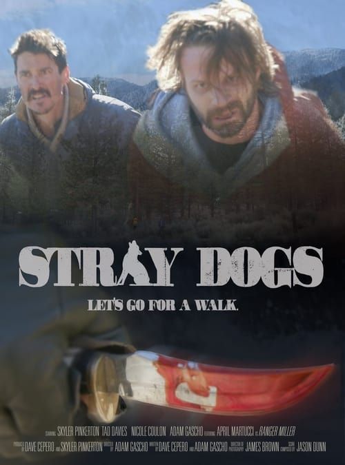 Key visual of Stray Dogs