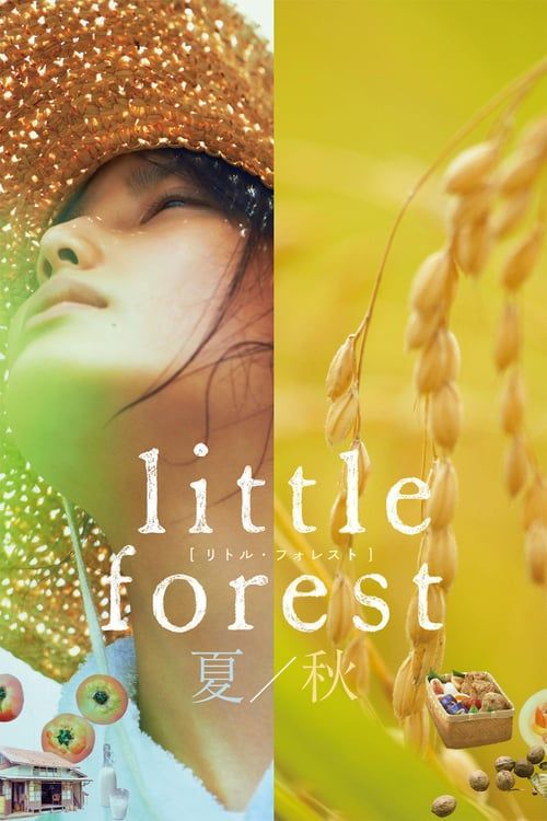 Key visual of Little Forest: Summer/Autumn