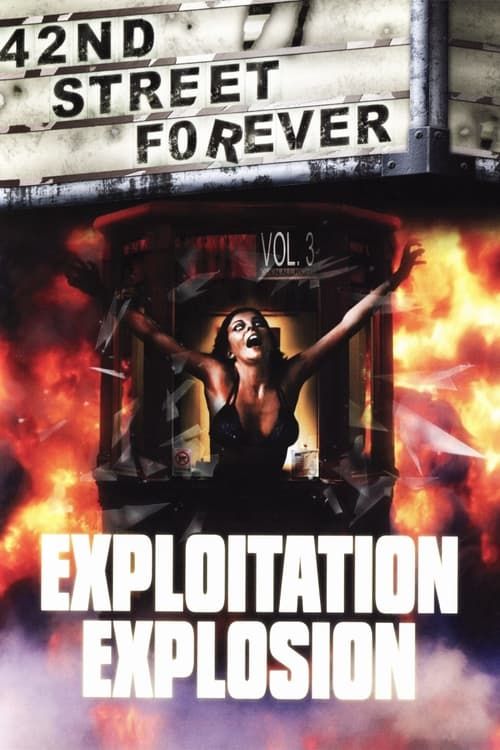 Key visual of 42nd Street Forever, Volume 3: Exploitation Explosion