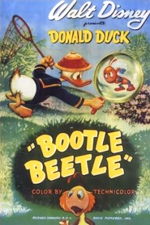 Key visual of Bootle Beetle