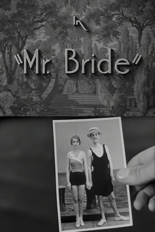 Key visual of Mr. Bride