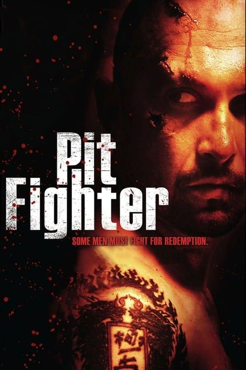 Key visual of Pit Fighter