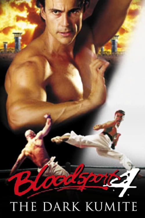 Key visual of Bloodsport: The Dark Kumite