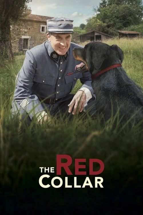 Key visual of The Red Collar