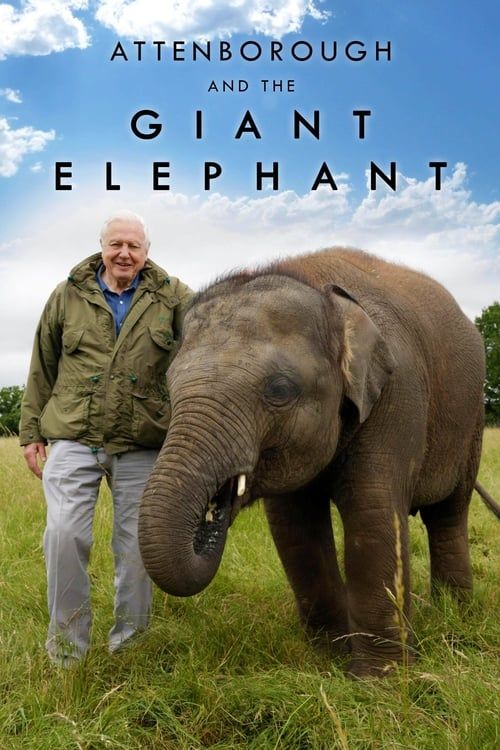Key visual of Attenborough and the Giant Elephant